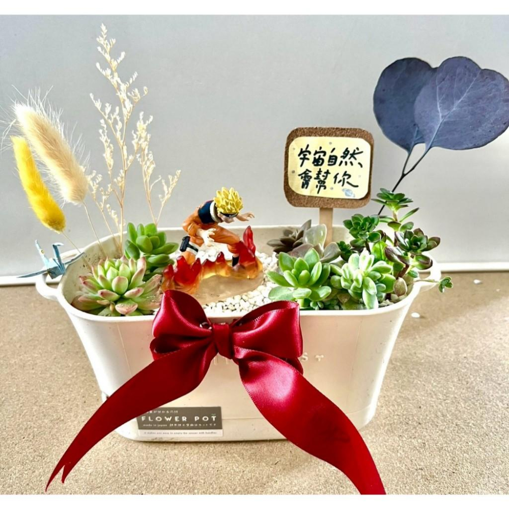 多肉組盆 多肉植物 日式 火影忍者 鳴人 NARUTO 漩渦鳴人 生日禮 植物盆栽 禪意 客製化 日式 多肉盆栽 多肉-細節圖3