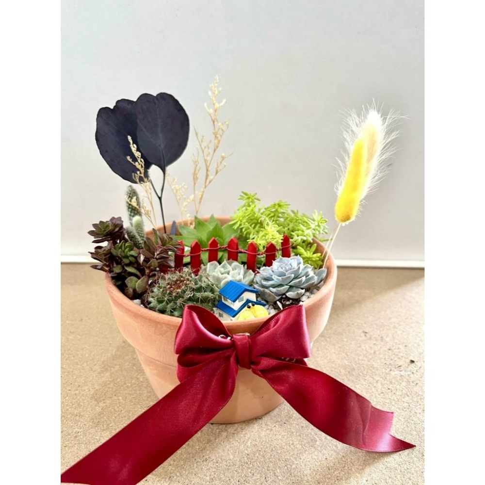 多肉組盆 多肉植物 日式枯山水 賀新居 新居落成禮 海洋生物 送禮 生日禮物 客製化 日式 多肉盆栽 多肉 仙人掌-細節圖2
