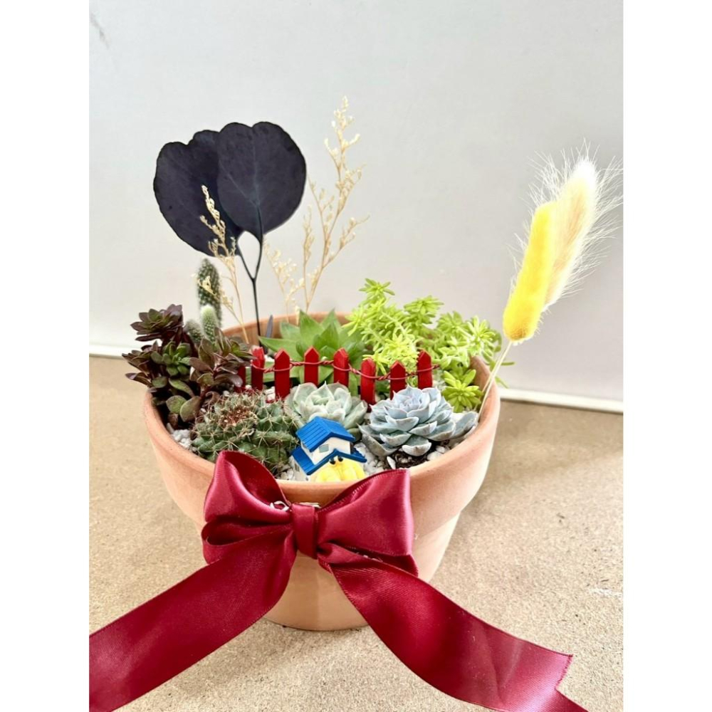 多肉組盆 多肉植物 日式枯山水 賀新居 新居落成禮 海洋生物 送禮 生日禮物 客製化 日式 多肉盆栽 多肉 仙人掌-細節圖3