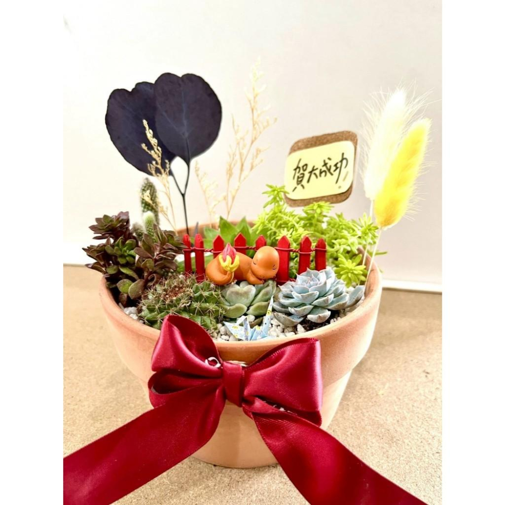 多肉組盆 寶可夢 小火龍 微景觀 多肉盆栽 神奇寶貝 客製化 生日禮物 多肉植物 仙人掌 桌上植物 辦公室植物 多肉盆栽-細節圖3