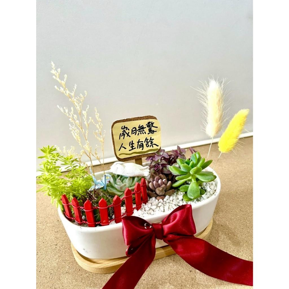 多肉組盆 多肉植物 日式枯山水 白貓 貓奴送禮 貓咪 禪意 客製化 日式 多肉盆栽 多肉植物 仙人掌-細節圖2