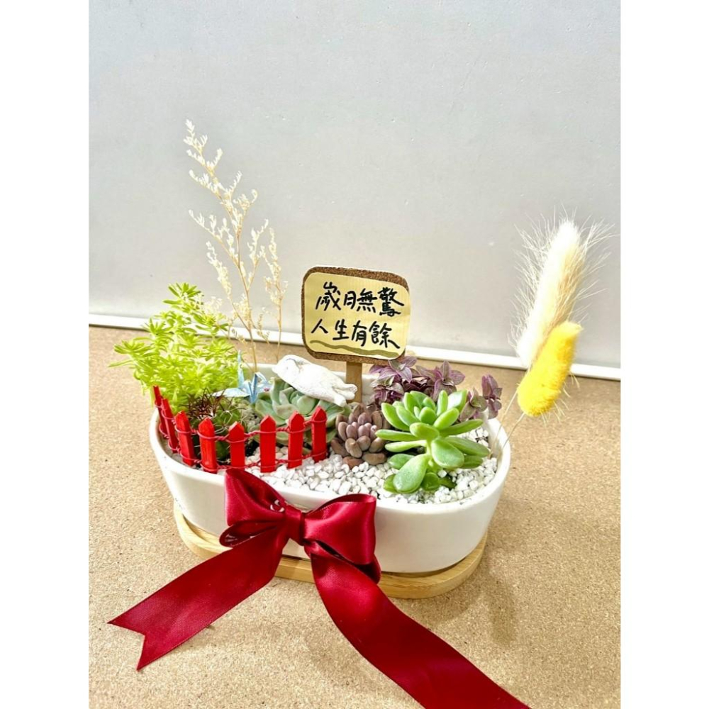 多肉組盆 多肉植物 日式枯山水 白貓 貓奴送禮 貓咪 禪意 客製化 日式 多肉盆栽 多肉植物 仙人掌-細節圖3