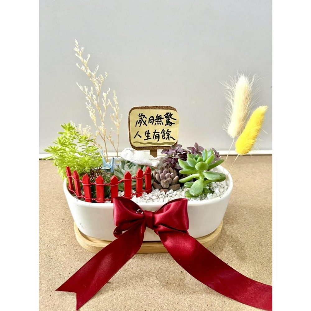 多肉組盆 多肉植物 日式枯山水 白貓 貓奴送禮 貓咪 禪意 客製化 日式 多肉盆栽 多肉植物 仙人掌-細節圖4
