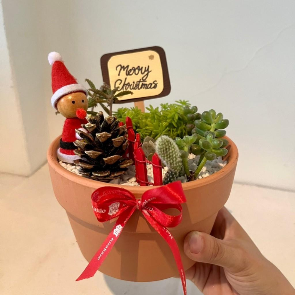聖誕篇-聖誕小精靈 松果 節慶送禮 多肉組盆 多肉 創意盆栽 盆栽 送禮 微景觀 景觀盆栽 聖誕禮物 客製化訂單-細節圖3