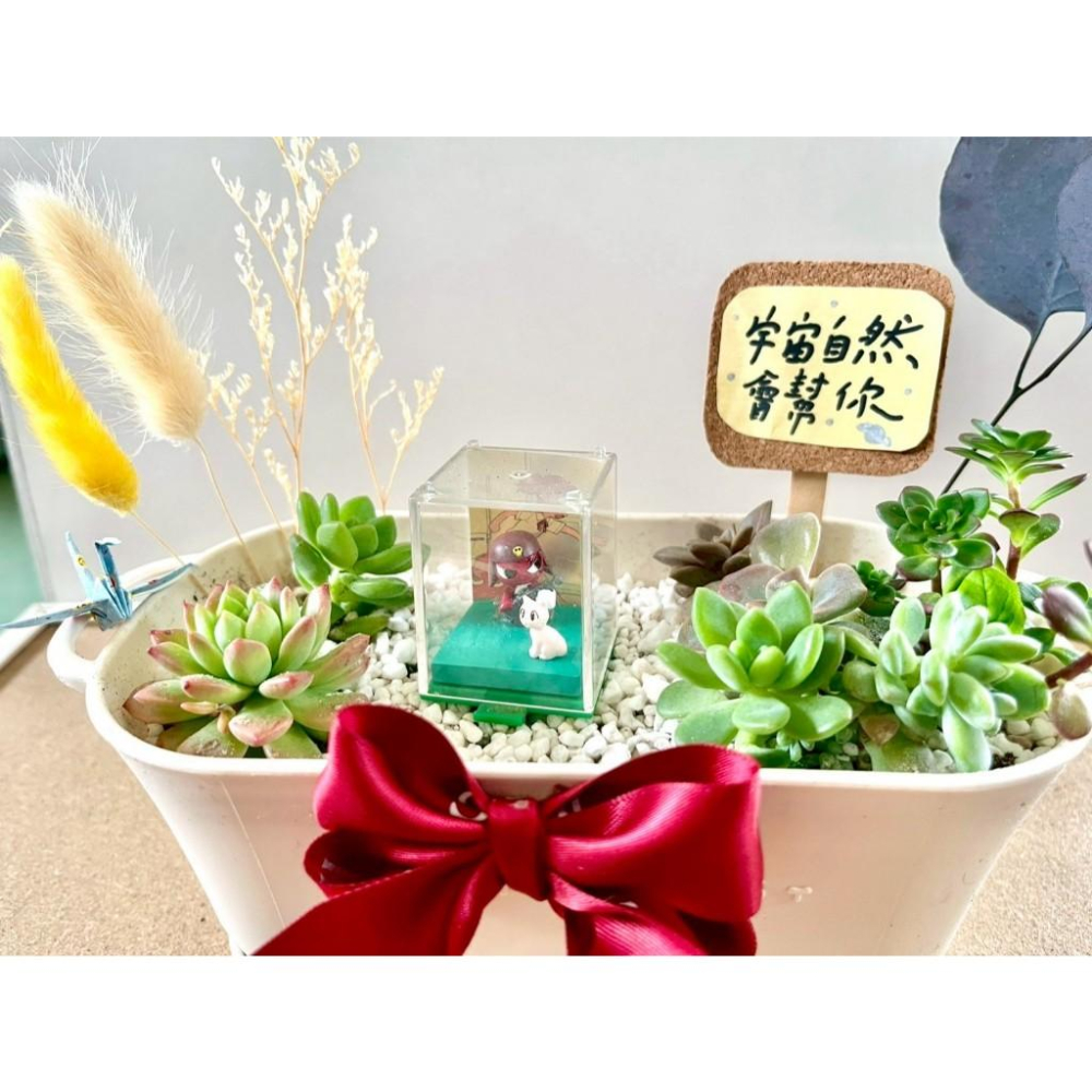 Giroro 伍長 晉升禮物 軍人禮物 多肉組盆 多肉植物 日式枯山水 客製化 日式 多肉盆栽 多肉 仙人掌-細節圖2