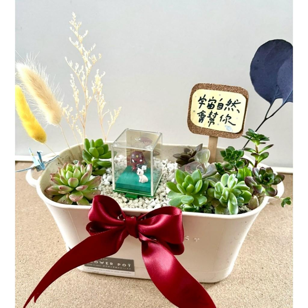 Giroro 伍長 晉升禮物 軍人禮物 多肉組盆 多肉植物 日式枯山水 客製化 日式 多肉盆栽 多肉 仙人掌-細節圖3