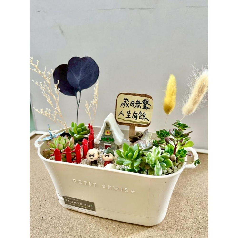 多肉組盆 多肉植物 日式枯山水 婚禮禮物 情人節禮物 植物盆栽 禪意 客製化 日式 多肉盆栽 結婚紀念日 送禮-細節圖2