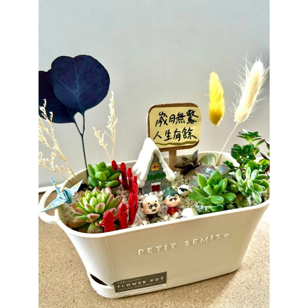 多肉組盆 多肉植物 日式枯山水 婚禮禮物 情人節禮物 植物盆栽 禪意 客製化 日式 多肉盆栽 結婚紀念日 送禮-細節圖3