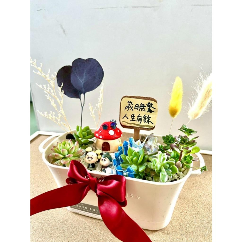 多肉組盆 多肉植物 日式枯山水 婚禮禮物 情人節禮物 植物盆栽 禪意 客製化 日式 多肉盆栽 結婚紀念日 送禮-細節圖5