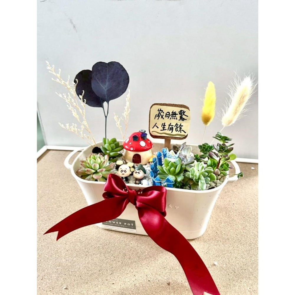多肉組盆 多肉植物 日式枯山水 婚禮禮物 情人節禮物 植物盆栽 禪意 客製化 日式 多肉盆栽 結婚紀念日 送禮-細節圖7