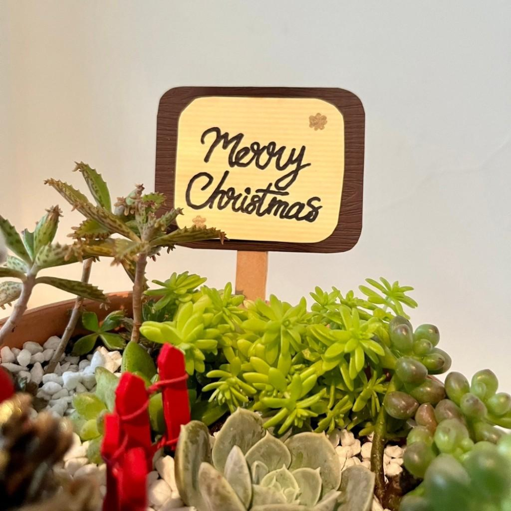 聖誕篇-聖誕 天使 松果 節慶送禮 多肉組盆 多肉 創意盆栽 盆栽 送禮 微景觀 景觀盆栽 聖誕禮物 客製化訂單-細節圖2