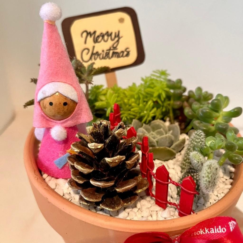 聖誕篇-聖誕 天使 松果 節慶送禮 多肉組盆 多肉 創意盆栽 盆栽 送禮 微景觀 景觀盆栽 聖誕禮物 客製化訂單-細節圖3