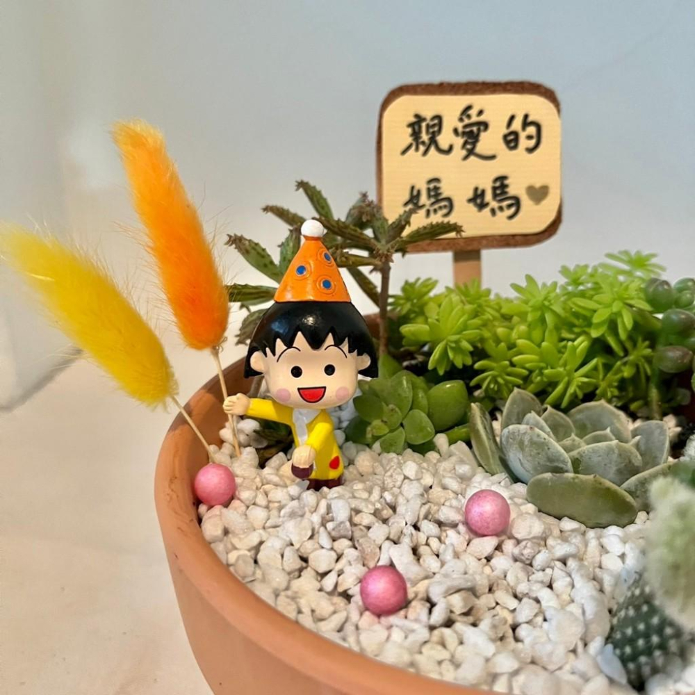 櫻桃小丸子 開幕送禮 母親節禮物 多肉組盆 多肉植物 創意盆栽 盆栽 送禮 微景觀 景觀盆栽 生日禮物 客製化訂單-細節圖2