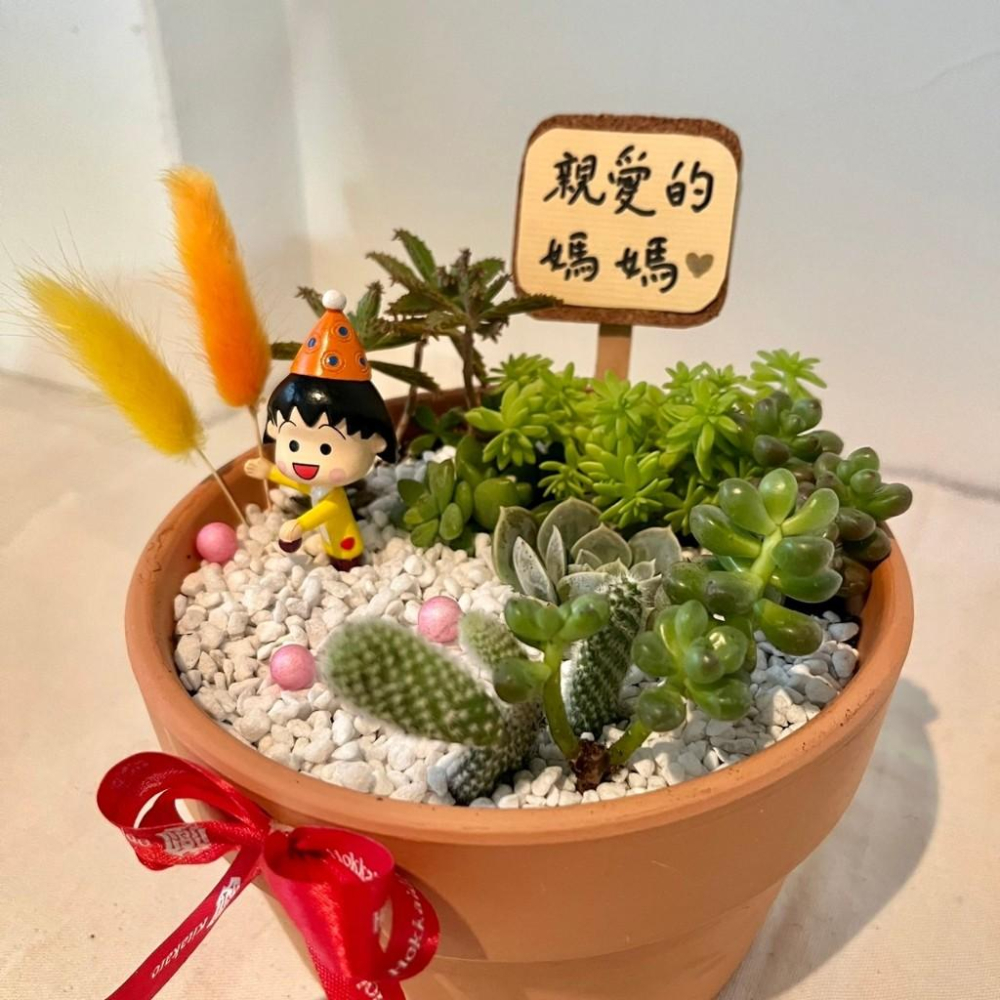 櫻桃小丸子 開幕送禮 母親節禮物 多肉組盆 多肉植物 創意盆栽 盆栽 送禮 微景觀 景觀盆栽 生日禮物 客製化訂單-細節圖3
