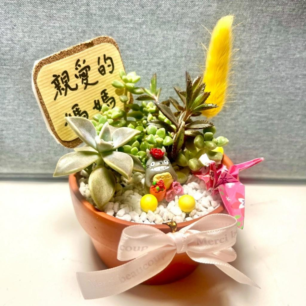 母親節 禮物 生日送禮 媽媽 禮物 多肉組盆 多肉植物 創意盆栽 盆栽送禮 微景觀 龍貓 生日禮物 客製化訂單-細節圖2