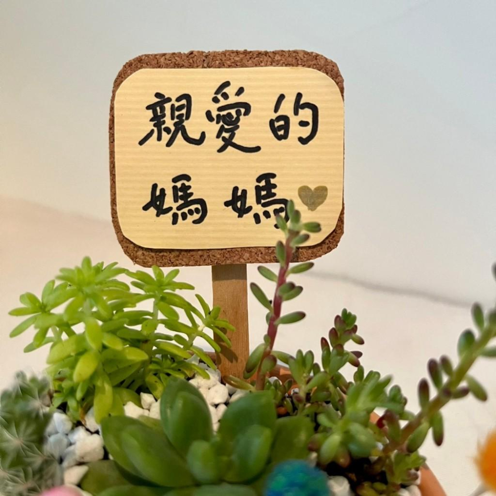 母親節 禮物 生日送禮 媽媽 禮物 多肉組盆 多肉植物 創意盆栽 盆栽送禮 微景觀 龍貓 生日禮物 客製化訂單-細節圖3
