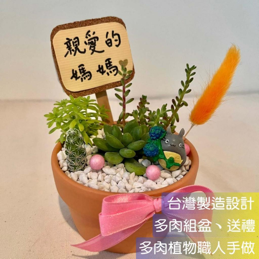母親節 禮物 生日送禮 媽媽 禮物 多肉組盆 多肉植物 創意盆栽 盆栽送禮 微景觀 龍貓 生日禮物 客製化訂單-細節圖4