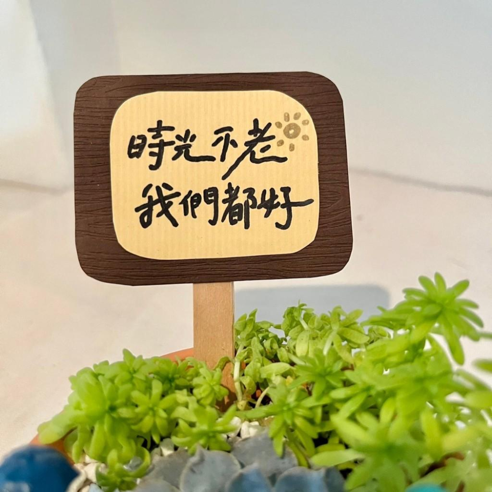 龍貓 吉卜力 (小盆) 開幕送禮 多肉組盆 多肉植物 創意盆栽 盆栽 送禮 微景觀 景觀盆栽 生日禮物 客製化訂單-細節圖2