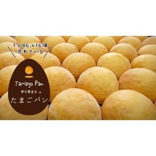 【每週到貨】日本超人氣長野黃金比例雞蛋麵包 TINCARBEL 蛋糕 原味16入 日本零食-細節圖2