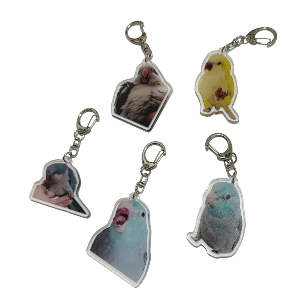 三麻兄妹 鸚鵡系列 壓克力鑰匙圈 (入)-細節圖2