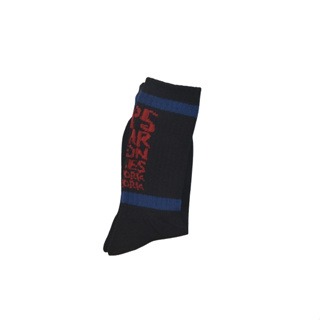 滑板襪子 大合集 新款舊款 散裝 十雙送一雙 VANS-規格圖5