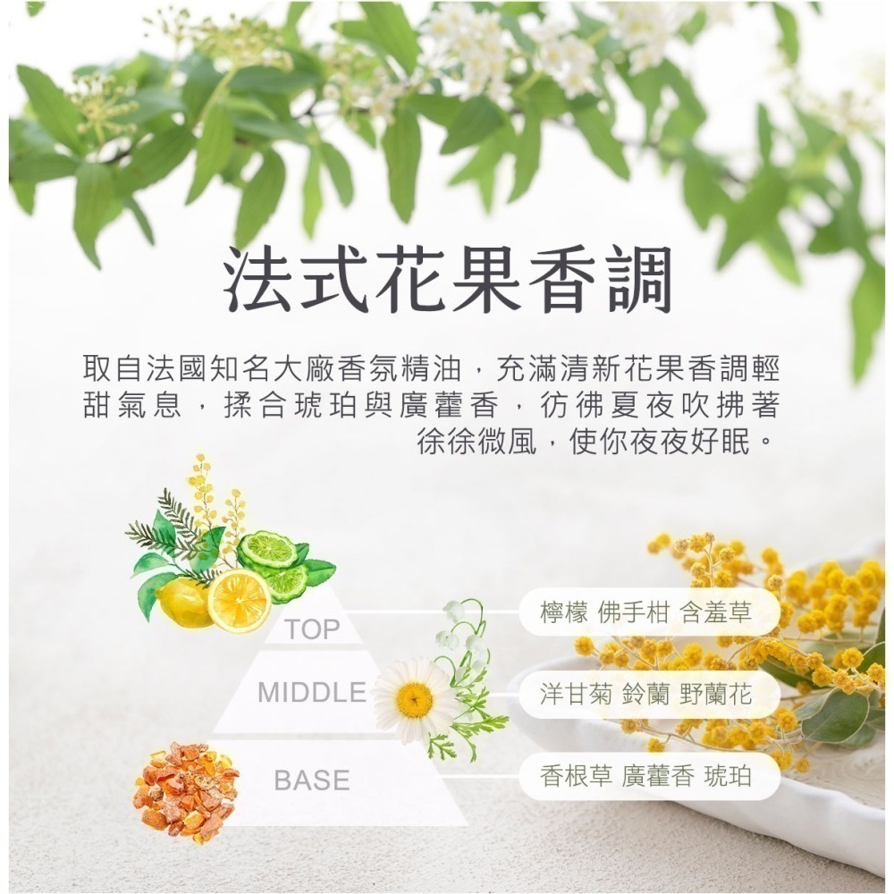 黑淬絲│水潤輕感髮肌護髮素(清新含羞草)320ml/瓶 頭皮可用 所有髮質適用(效期2026.11.22)-細節圖7