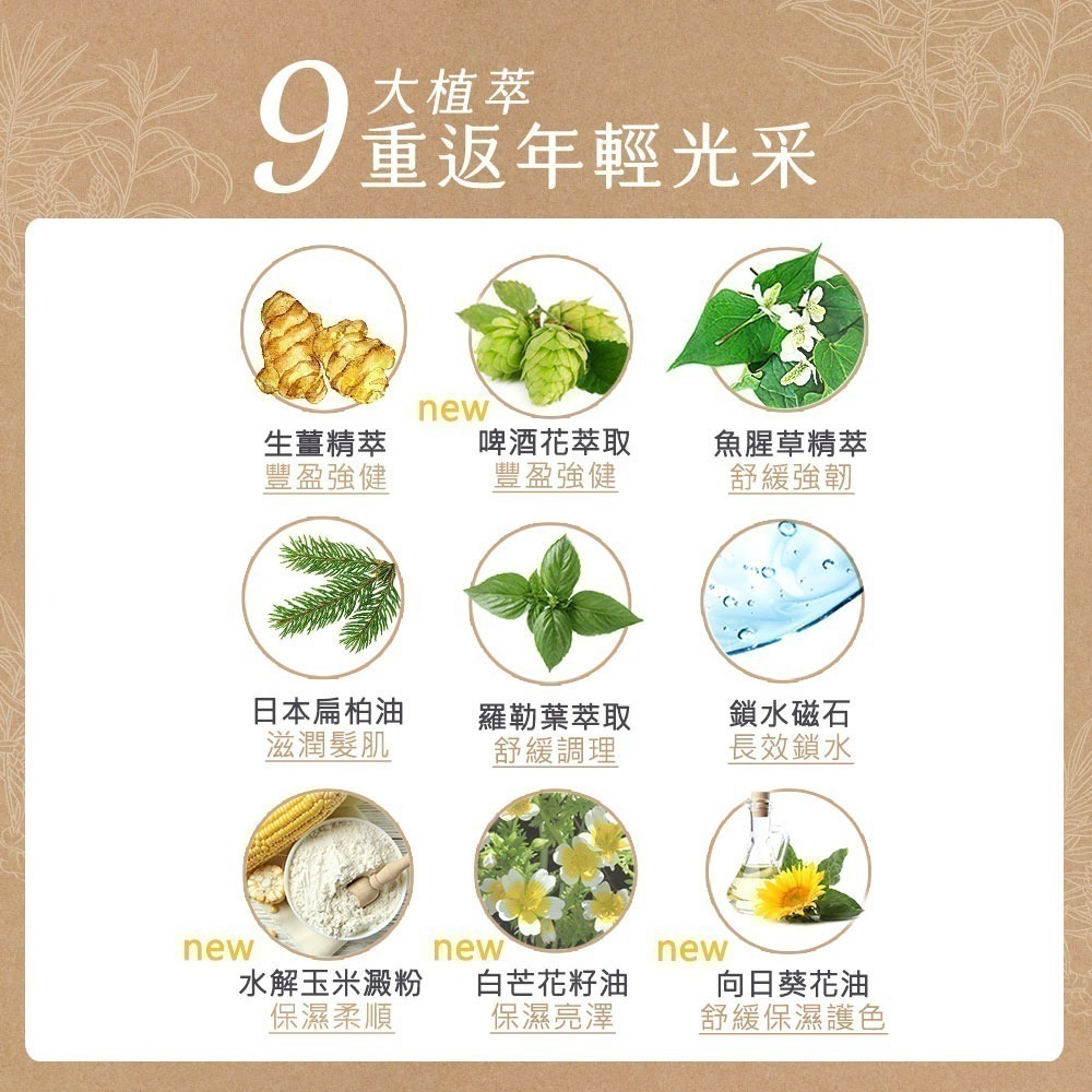 新到貨 黑淬絲│漢方控油豐盈洗髮精(舒心檀香)320ml/瓶(效期2028.12.10)-細節圖6