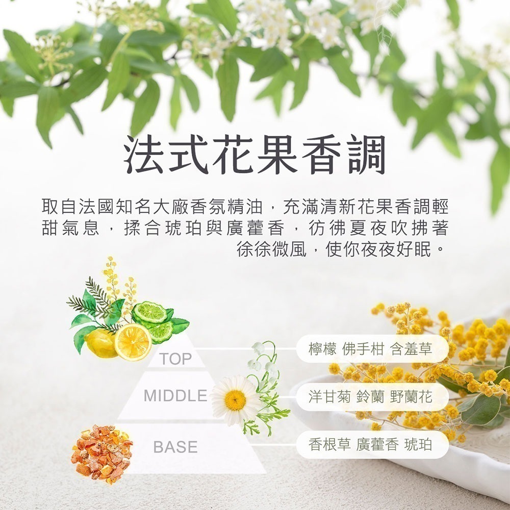 黑淬絲│咖啡因保濕護色洗髮精(清新含羞草)320ml/瓶 頻繁染燙髮質適用-細節圖7