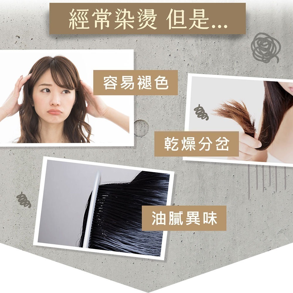 黑淬絲│咖啡因保濕護色洗髮精(清新含羞草)320ml/瓶 頻繁染燙髮質適用(效期2026.11.21)-細節圖4