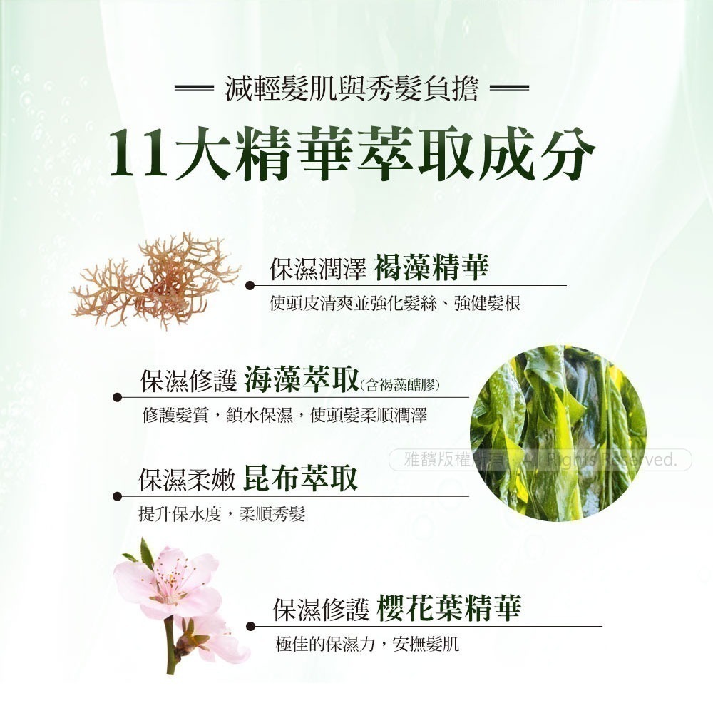 日本墨之君｜北海道利尻昆布白髮染-榛果黑.栗子咖(升級版)70g×3瓶+染髮梳1支-細節圖10