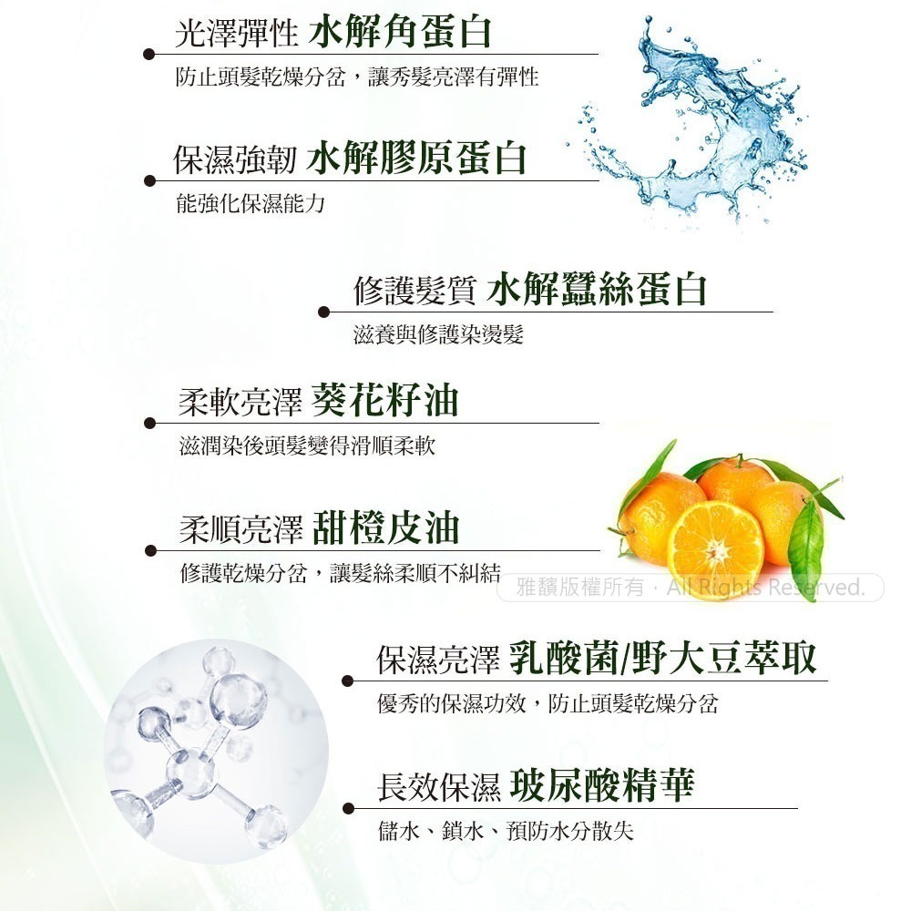 日本墨之君｜北海道利尻昆布白髮染-榛果黑.栗子咖(升級版)70g×3瓶+染髮梳1支-細節圖11