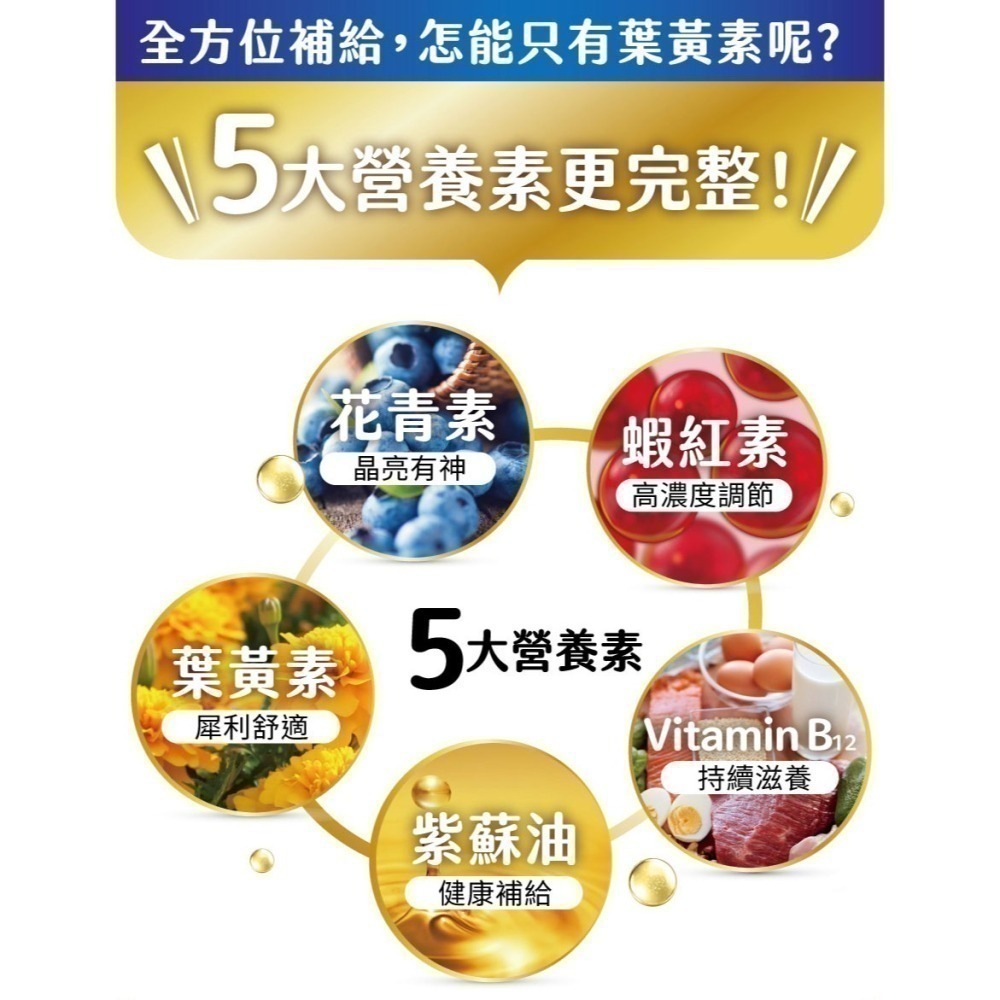 森下仁丹｜藍莓膠囊 葉黃素 (30粒/盒)-細節圖3