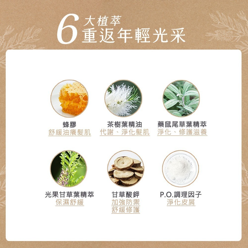 黑淬絲│植萃賦活洗護2件組(蜂膠草本+護髮素)320ml×2瓶 淨化飛屑 雪花-細節圖3