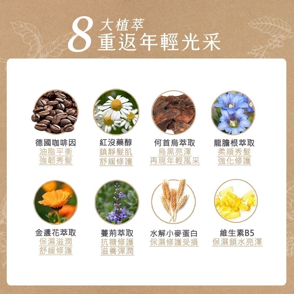 新到貨 黑淬絲│植萃賦活洗護2件組(漢方+護髮素)320ml×2瓶  扁塌細軟髮 豐盈-細節圖7