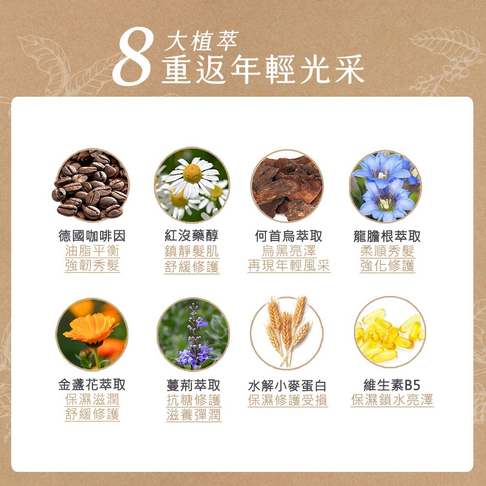 黑淬絲│植萃賦活洗護2件組(咖啡因+護髮素)320ml×2瓶 頻繁染燙髮 髮尾乾燥-細節圖6