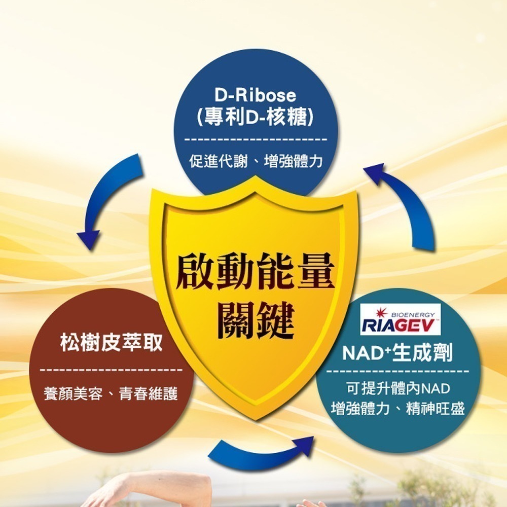 美國百力能專利核糖膠囊食品EX PLUS(30粒/盒)(松樹皮/紅景天/菸鹼醯胺) 多件優惠 365本舖-細節圖4