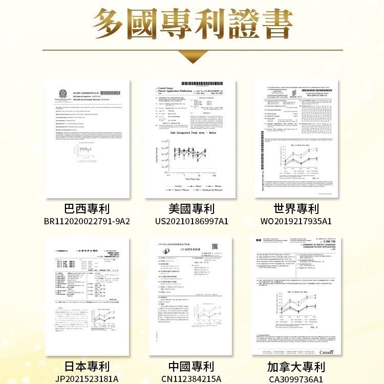 美國百力能專利核糖膠囊食品EX PLUS(30粒/盒)(松樹皮/紅景天/菸鹼醯胺) 多件優惠 365本舖-細節圖5