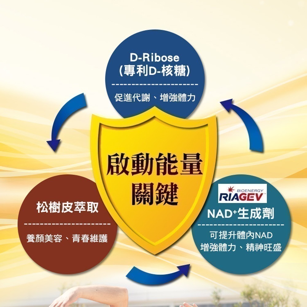 美國百力能專利核糖膠囊食品EX PLUS(30粒/盒x6盒)(松樹皮/紅景天/菸鹼醯胺)-細節圖6