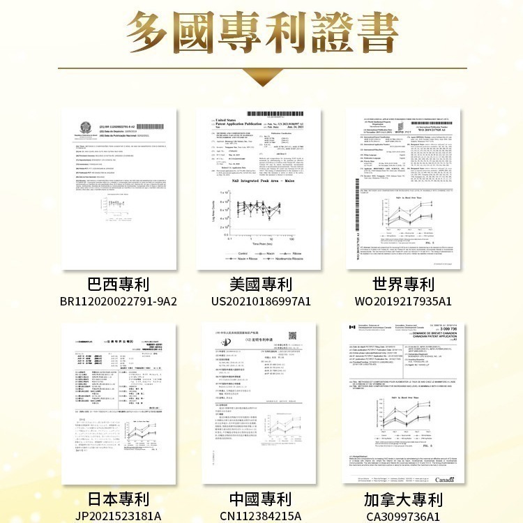 美國百力能專利核糖膠囊食品EX PLUS(30粒/盒x6盒)(松樹皮/紅景天/菸鹼醯胺)-細節圖7