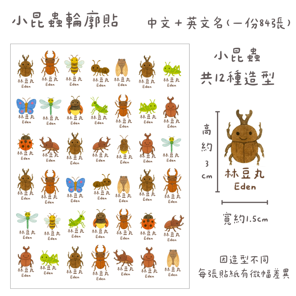 昆蟲輪廓貼（每份84張）