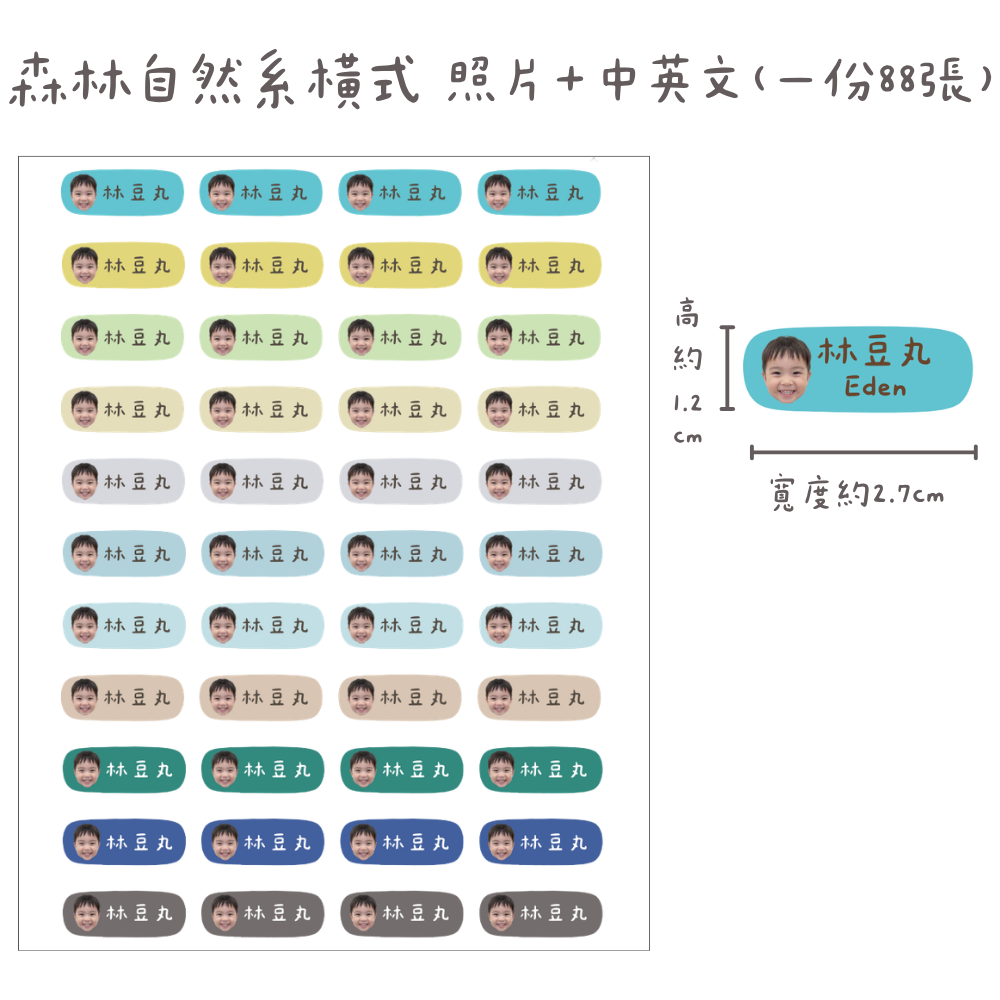 森林自然系—照片橫式（每份88張)不校稿