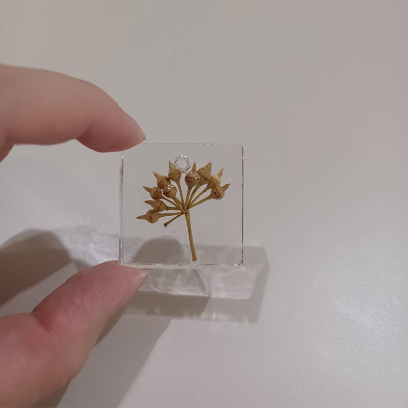 🌟星藝手作🌟【開幕慶優惠中】乾燥花滴膠吊飾 乾燥花吊飾 永生花吊飾 乾燥花鑰匙圈 永生花鑰匙圈 滴膠鑰匙圈 禮物送禮-細節圖4