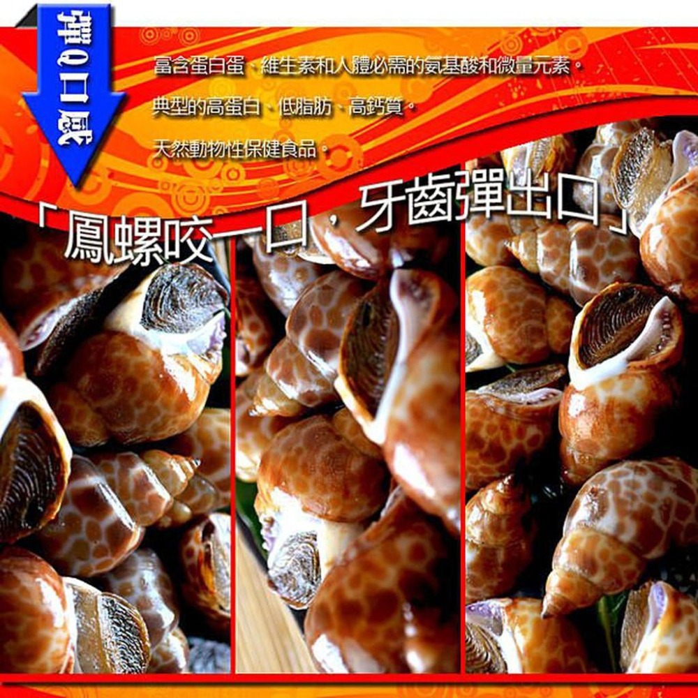 極禾楓肉舖◎超脆勁的鳳螺~感受彈牙好滋味 100g20-細節圖2