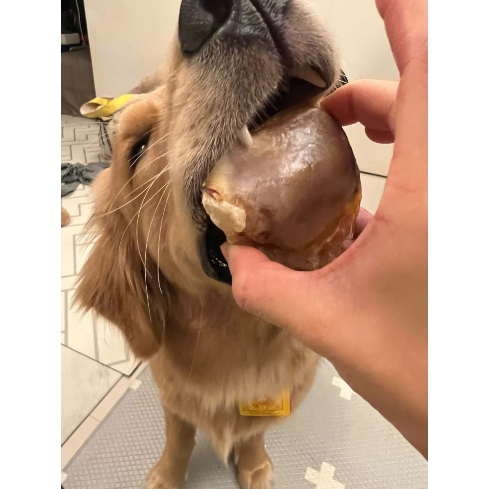 【耐咬】去脂牛輪骨-細節圖3