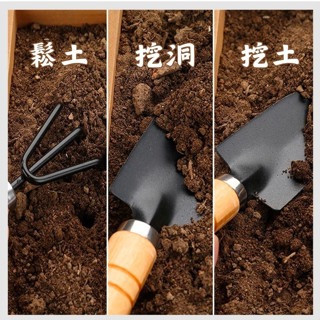 【超便宜超耐用】鏟子 鐵楸 鐵耙 園藝工具 三件套 盆栽工具套裝 種植工具 鬆土 花園種植 多肉 迷你園藝工具組-細節圖2