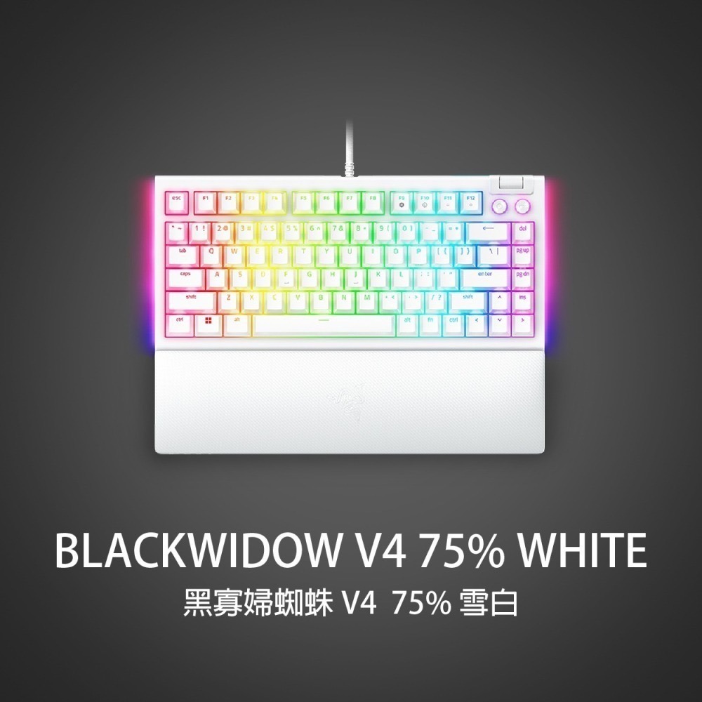 RAZER 雷蛇 BLACKWIDOW  V4 75% 黑寡婦V4 黑色 白色 熱插拔機械鍵盤 橘軸 英文-細節圖2