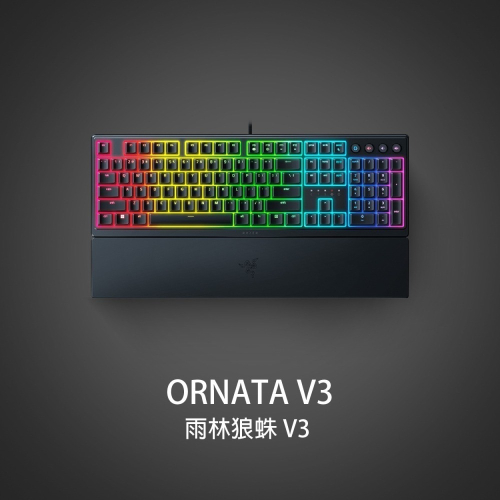 RAZER 雷蛇 ORNATA V3 雨林狼蛛 V3 機械式薄膜混合 電競鍵盤 中文