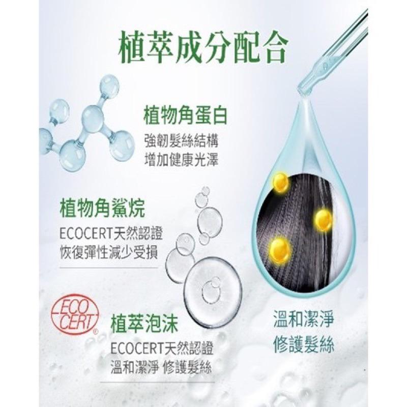 【美吾髮】ＰＵＲＥ純萃植感洗髮精(積雪草/薑根/茶樹/水薄荷) 4種香味 500ml-細節圖3