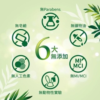 【美吾髮 】草本主義沐浴露540ml 茶樹/檀香/櫻花/山茶花-細節圖3