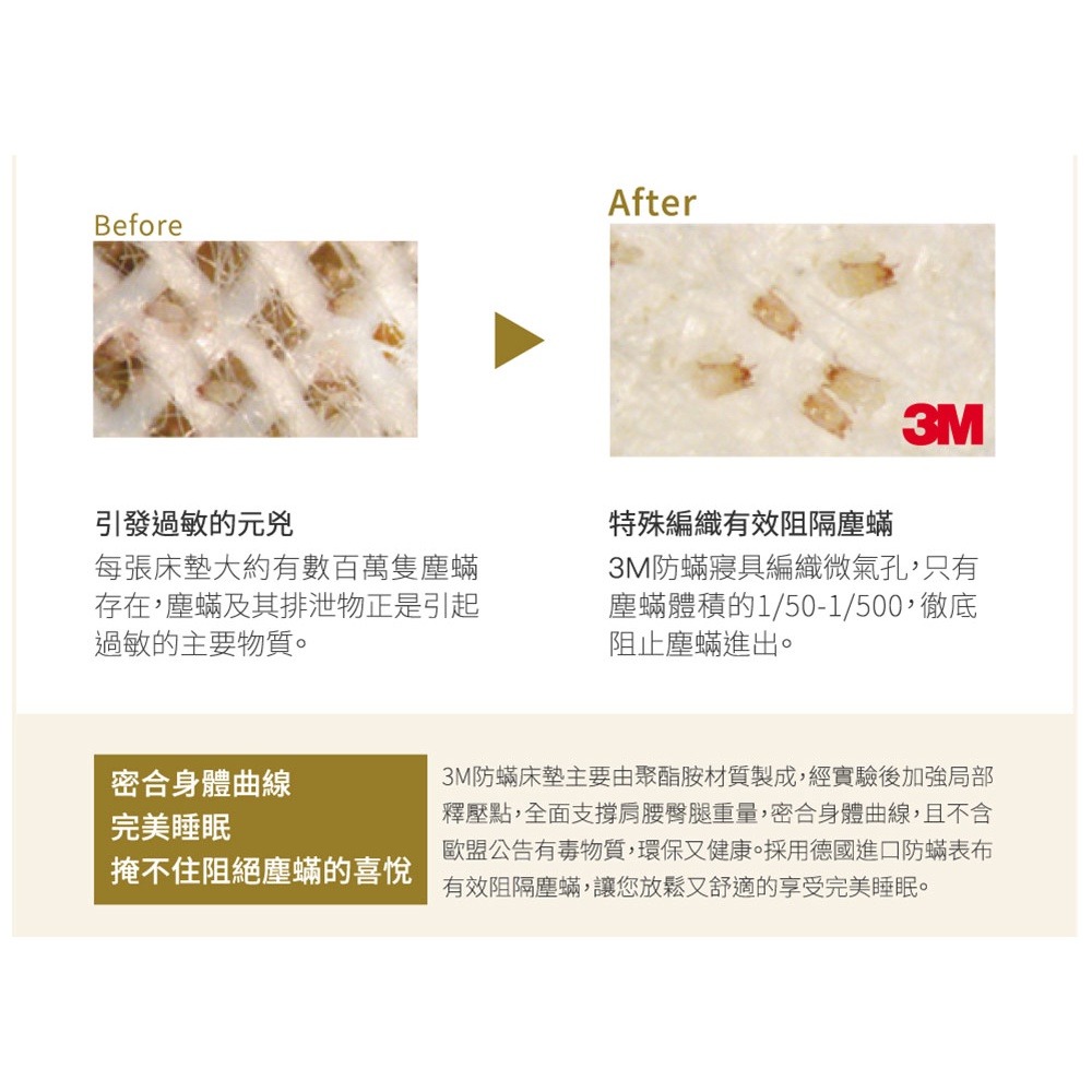 3M MIT防蹣床墊-低密度標準型(單人/雙人可選) 學生 租屋族 小資族-細節圖5